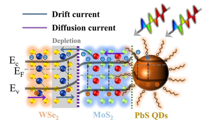 1655991409540216.png 1655991409540216.png