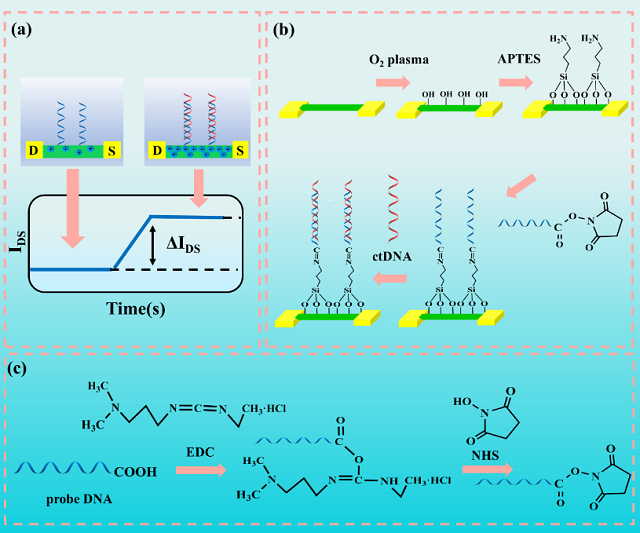 1617157238915314.png 图片1.png